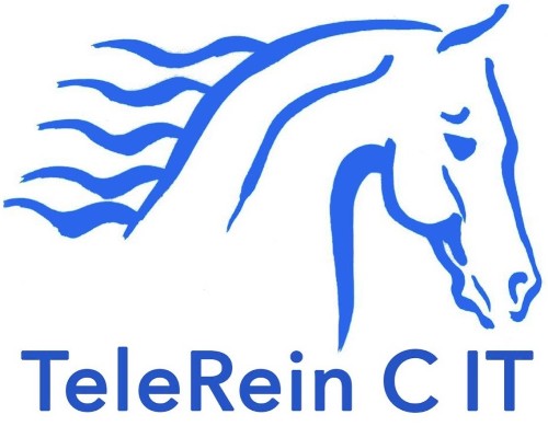 TeleRein C IT - Equestrian tool for horse Rein and contact