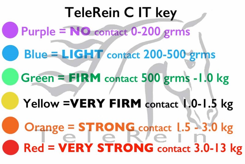 TeleRein C IT Contact Range Key